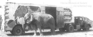 Illustration for article titled Edison's Elephant